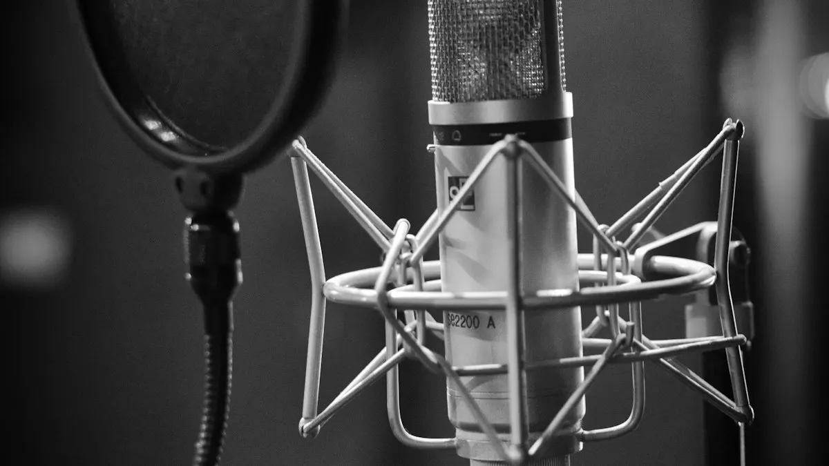 Studio microphone in a shock mount behind a round pop filter in black and white